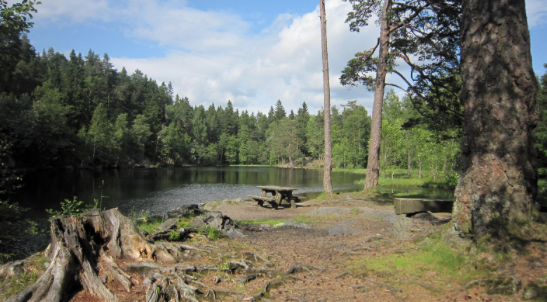 Skjermbilde 2018-05-09 10.57.18